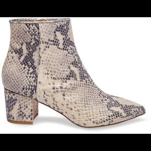 Steve Madden “Brave” snakeskin booties